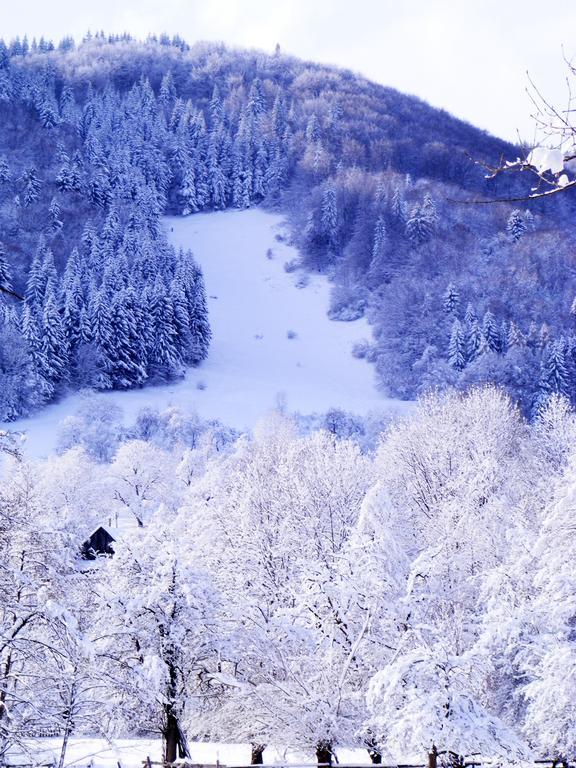 Vila Carpathia Bran  Eksteriør bilde